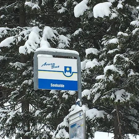 I Dr Rehwiesa C31 Lägenhet *