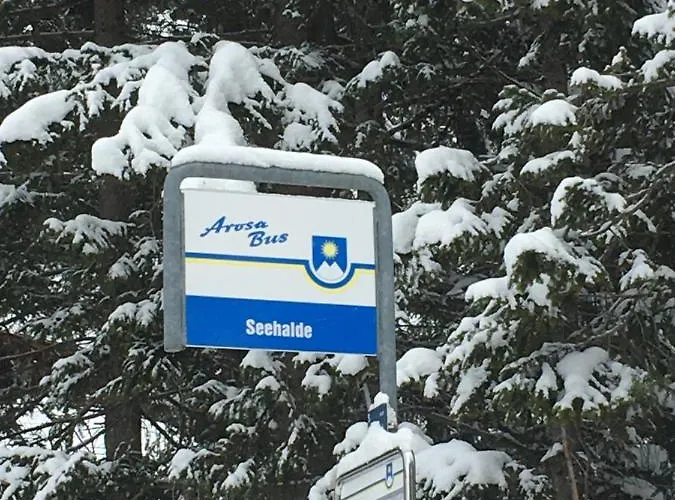 I Dr Rehwiesa C31 Apartment *